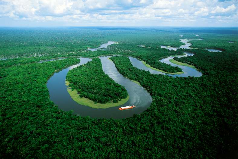 Juhoamerická Amazonka